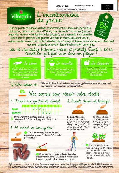 Légumes Secs - Haricot Nain Vert Oxinel 2 - 10 m - BIO - MEDIA_PACKAGING_VERSO